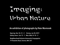 Imaging: Urban Nature