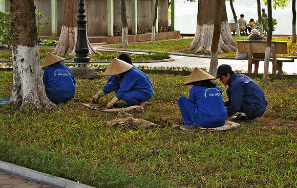 City workers planting grass by Hoan Kiem Lake