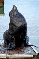 Morning stretches