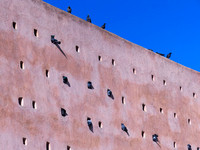 Rabat: Mausoleum of Mohammed V (next 3 photos)